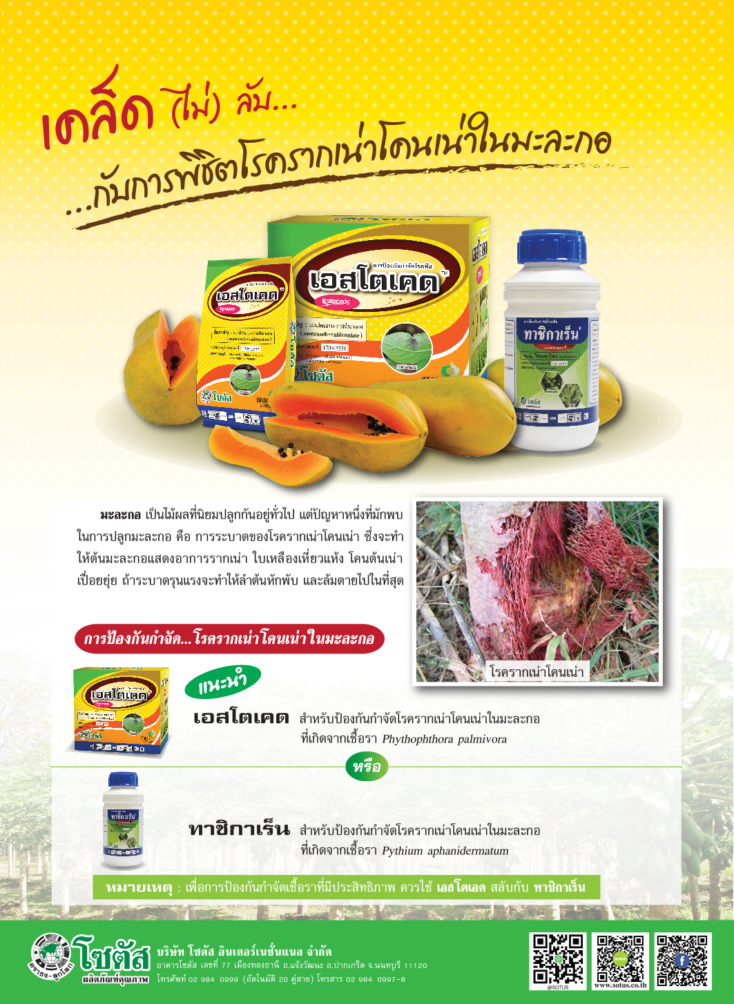 Advertisement Banner by บริษัท โซตัส อินเตอร์เนชั่นแนล จำกัด www.sotus.co.th