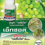 Advertisement Banner by บริษัท โซตัส อินเตอร์เนชั่นแนล จำกัด www.sotus.co.th