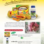 Advertisement Banner by บริษัท โซตัส อินเตอร์เนชั่นแนล จำกัด www.sotus.co.th