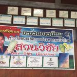 จำหน่ายพันธุ์มะม่วง