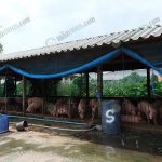 1.โรงเรือนหมูขุน
