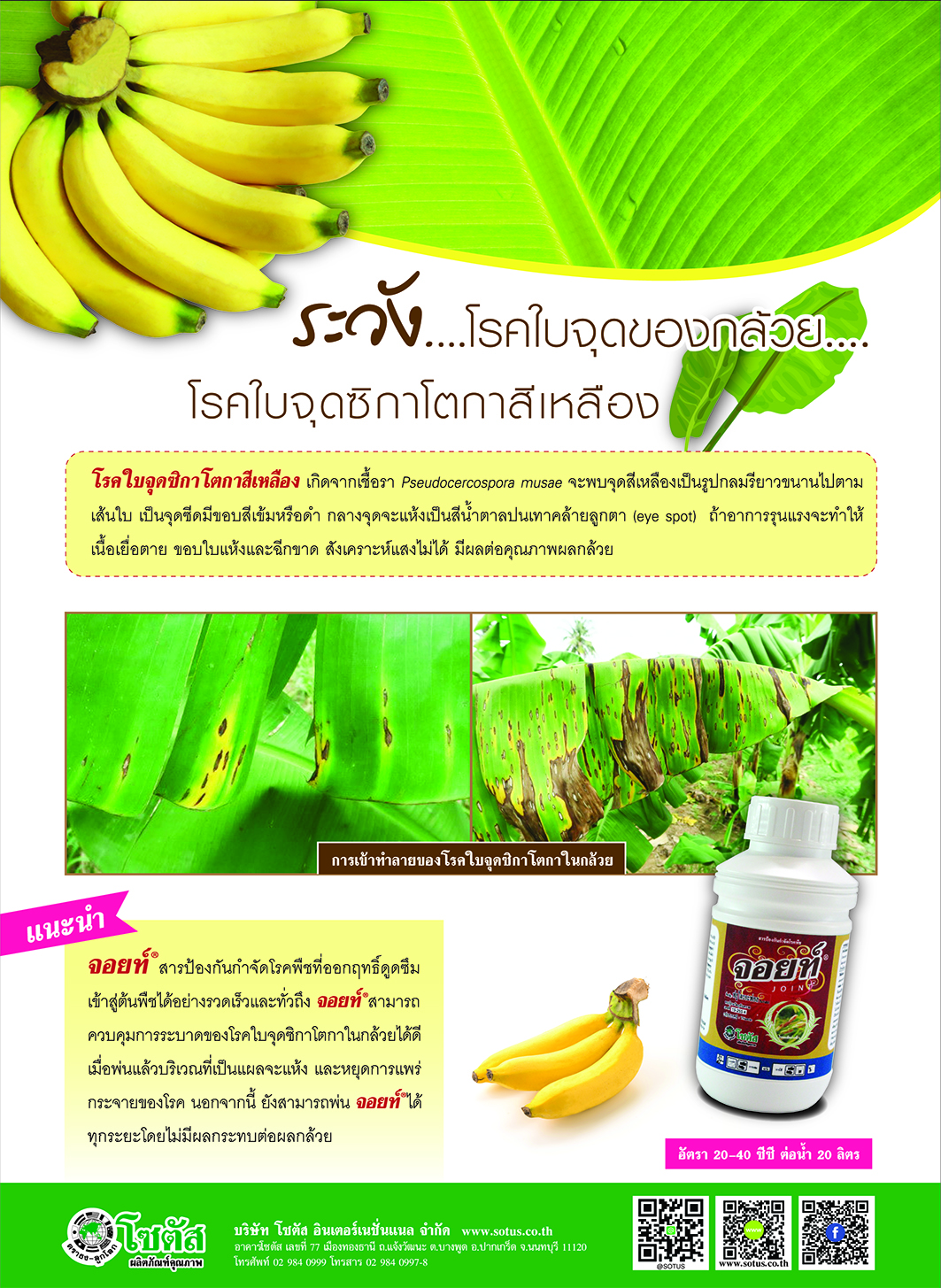 Advertisement Banner by บริษัท โซตัส อินเตอร์เนชั่นแนล จำกัด www.sotus.co.th