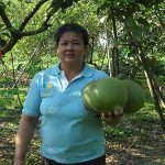 2.คุณธนทัต-ปัญญาดิลก-เกษตรกรผู้ปลูกส้มโอพันธุ์ขาวแตงกวา-จ.ชัยนาท