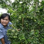 2.คุณธัญชนกกับสวนส้มเขียวดำเนิน