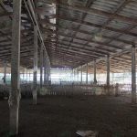 2.ลักษณะโรงเรือนเลี้ยงเป็ด