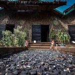 3.โรงเลี้ยงเห็ดโคนญี่ปุ่น-ทำด้วยใบหญ้าคา