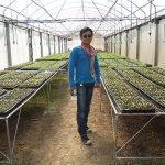 4.แปลงเพาะกล้าแคนตาลูปและเมลอน