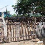 5.เลี้ยงแบบปล่อยพื้นดิน-ล้อมเล้าด้วยไม้ไผ่