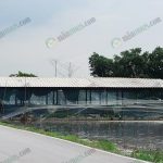 9.คลุมตาข่ายบ่อเลี้ยงปลาดุกและปลาสวายป้องกันนก