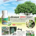 Advertisement Banner by บริษัท โซตัส อินเตอร์เนชั่นแนล จำกัด www.sotus.co.th