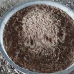 3.อาหารสำหรับเป็ดไข่