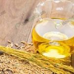 3.เมล็ดข้าว