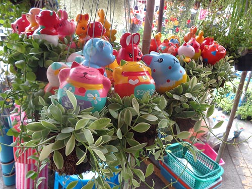 ผลิต ไม้กระถางแขวน ครองใจตลาด สวนแนวตั้ง ญี่ปุ่น และเอเชีย ผลิต ไม้กระถางแขวน ครองใจตลาด สวนแนวตั้ง ญี่ปุ่น และเอเชีย