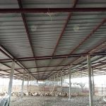 9.โรงเรือนเลี้ยงเป็ดบนพื้นดิน