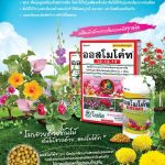 Advertisement-Banner-by-บริษัท-โซตัส-อินเตอร์เนชั่นแนล-จำกัด-www.sotus.co.th