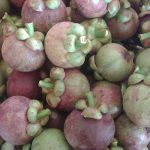 1.มังคุดผิวมัน-ผลผลิตคุณภาพจากเกษตรกรรุ่นใหม่ของไทย