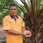 5.คุณสมชาย-ซาซุม-ชาวสวนปาล์มอีสาน