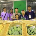 8.จำหน่ายมะม่วงหลากหลายสายพันธุ์