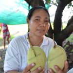 9.มะม่วงไซซ์ใหญ่-รสชาติดี