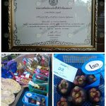 9.รางวัลที่การันตีถึงคุณค่าและมูลค่าผลผลิตของทางสวน