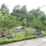 3.สวนผสมผสานของ-ดร.อภิสรรค์