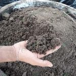 5.อาหารสัตว์สูตรลดต้นทุน-โตไว-ไข่แน่น-ไซร้จัมโบ้
