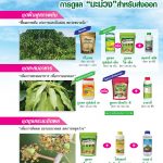 Advertisement-Banner-by-บริษัท-โซตัส-อินเตอร์เนชั่นแนล-จำกัด-www.sotus.co.th