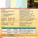 วิธีการใช้สีผสมยางพารา
