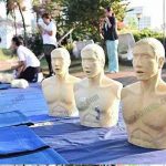 หุ่นยางพาราที่ใช้ในการสอนทำ-CPR