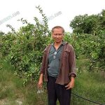 2.คุณศุภกิจ-พุทธไทย-ครูแดง-เจ้าของสวน