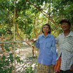 2.คุณเสมอ-และคุณสุภาพ-ผลศรัทธา-เกษตรกรชาวสวนมะนาว