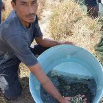 3.คุณธนโชค-พวงมาลา-เพาะเลี้ยงปลานิล-ปลาหมอไทย-และปลาชนิดอื่นๆ-