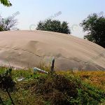 4.บ่อไบโอแก๊ส