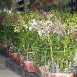 5.สินค้าราคาถูก-คุณภาพดี-ซื้อได้ทั้งปลีกและส่ง