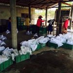 8.แพ็คปลาเตรียมขนส่ง