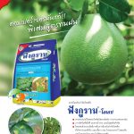 Advertisement-Banner-by-บริษัท-โซตัส-อินเตอร์เนชั่นแนล-จำกัด-www.sotus.co.th