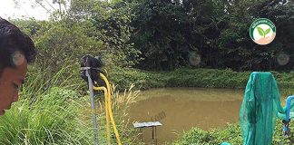 การให้ ระบบน้ำในสวน ปาล์มผ่านระบบสมาร์ทโฟนทุกอย่าง