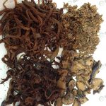 4.เห็ดแปรรูปแต่ละชนิดอร่อยแตกต่างกัน