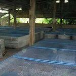 4.โรงเรือนเลี้ยงจิ้งหรีด