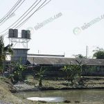 5.แท้งค์น้ำและบ่อไบโอแก๊ส