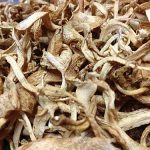 6.เห็ดนางฟ้าตากแห้งประมาณ-4-แดด