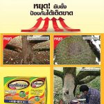 Advertisement-Banner-by-บริษัท-โซตัส-อินเตอร์เนชั่นแนล-จำกัด-www.sotus.co.th