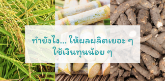 สยามคูโบต้า นวัตกรรมเครื่องมือเกษตร เครื่องจักรกลการเกษตรแบบไร้คนขับ นวัตกรรมที่ใช้สำหรับเกษตรแม่นยำสูง ระบบข้อมูล Big Data ระบบ GPS คูโบต้า เครื่องจักรกลการเกษตร แทรกเตอร์ รถเกี่ยวนวดข้าว รถดำนา สยามคูโบต้า 1