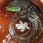 เมื่อตัวเมียไข่แล้วจะต้องรีบนำตัวเมียออกเพื่อป้องกันการกินไข่