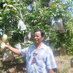1.คุณสำราญกับสวนมะม่วง
