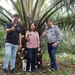 1.บริษัท-สินธุเศรษฐ์-จำกัด-นำร่องปลูกปาล์มสายพันธุ์ดี