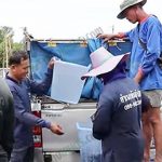 10.การรับซื้อปลาคืนจากเกษตรกรเครือข่าย