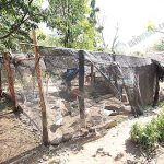 7.คอกเป็ด