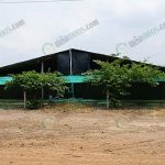 9.โรงเรือนไก่เนื้อ