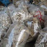 ผลผลิตเห็ดแต่ละชนิดจากฟาร์มและรับซื้อจากเกษตรกรส่งตลาดด้วย